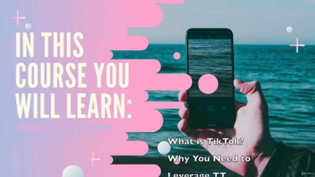 TikTok for Complete Beginners Influencers & Small Businesses - Screenshot_01