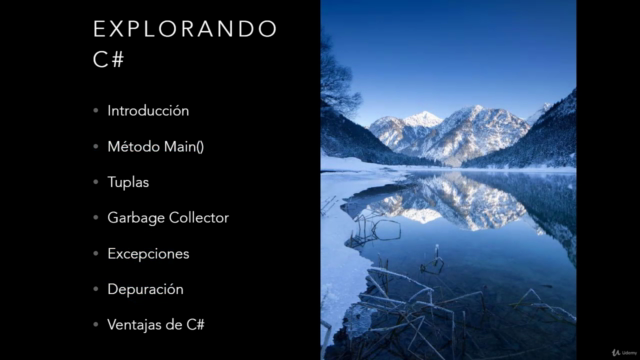 C# en Profundidad - Screenshot_01