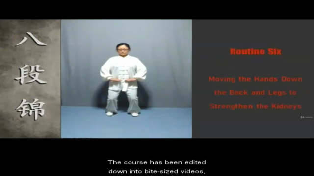 BaDuanJin Qigong: Unlocking the Secrets of Energy Healing - Screenshot_03