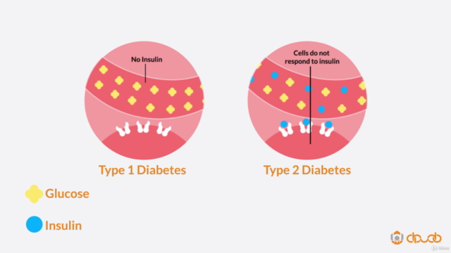 Type 1 Diabetes: Giving Your Child the Best Care - Screenshot_02