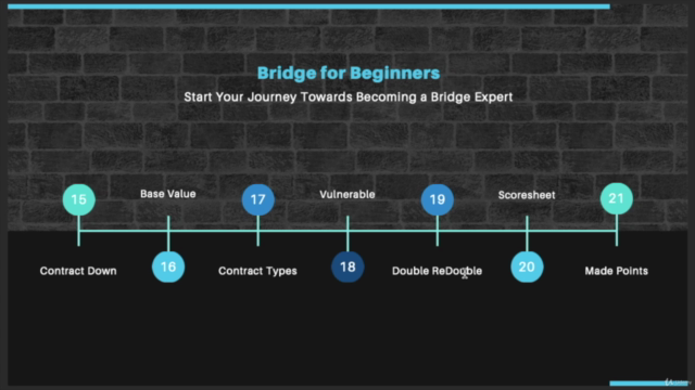 Bridge for Beginners - Screenshot_03