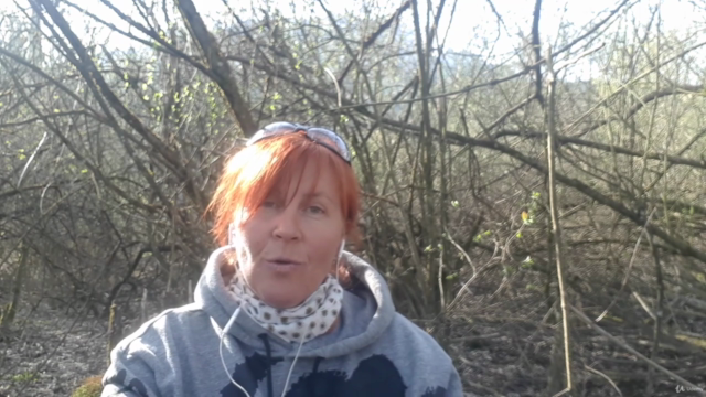 Wie schütze ich den Wald? - Screenshot_04