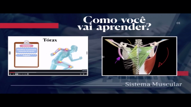 Curso Online - Anatomia Humana (Sistema Muscular) - Screenshot_04