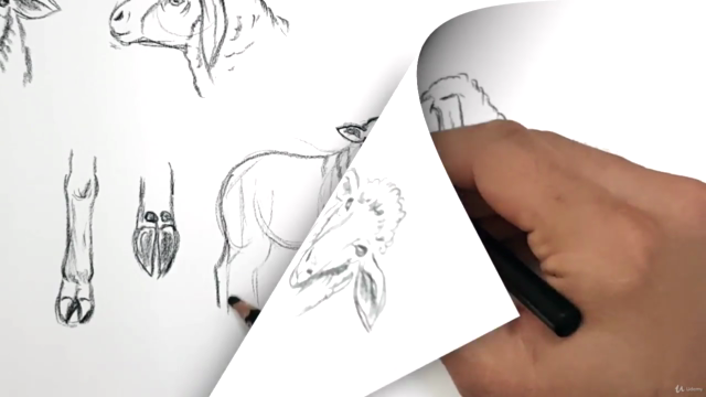 Hayvan Çizimi Resim Kursu | Animal Drawing Course - Screenshot_02