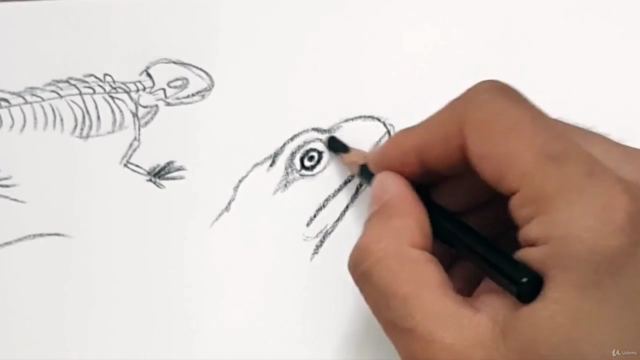 Hayvan Çizimi Resim Kursu | Animal Drawing Course - Screenshot_03