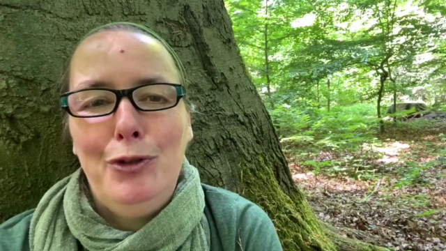 Waldbaden - Natur mit allen Sinnen genießen und entspannen - Screenshot_03