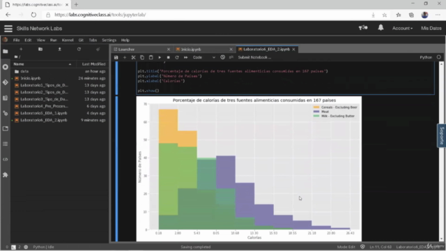 Análisis de Datos con Python - Screenshot_03