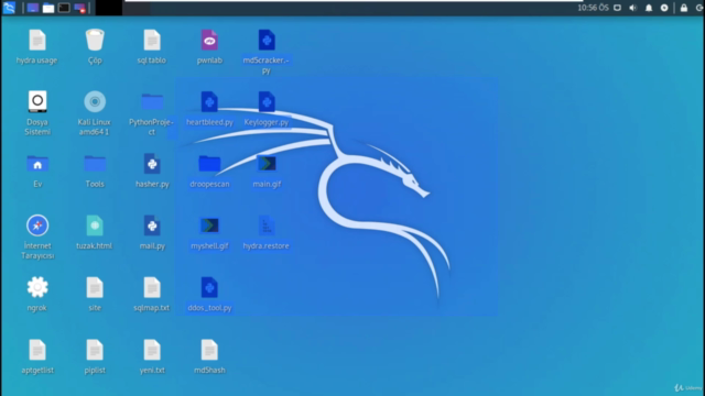 Programlama Dilleriyle Orta, İleri Seviye Etik Hacker Kursu - Screenshot_01