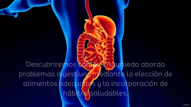 Descubre Ayurveda: Tu Camino a la Salud y Bienestar Integral - Screenshot_03