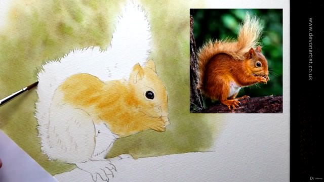 Watercolour Wildlife Painting - How To Paint a Red Squirrel - Screenshot_02