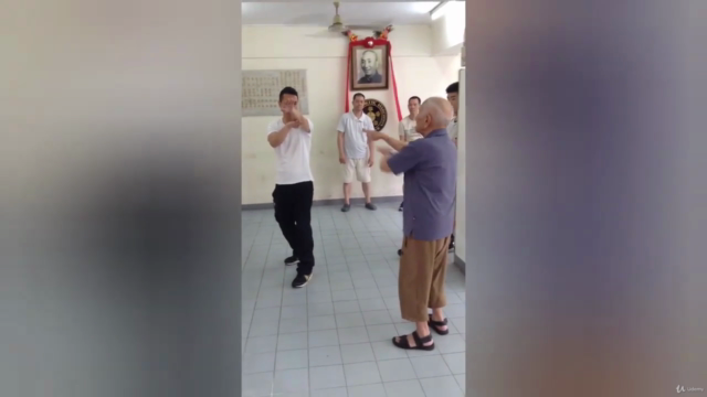 Wing Chun Sil Lim Tao (Siu Nim Tau) First Form Basics - Screenshot_04