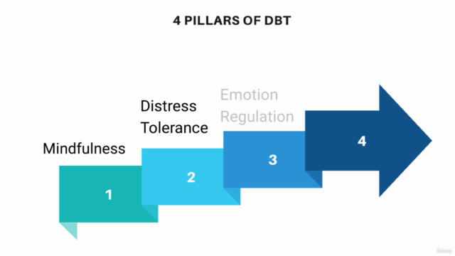 Dialectical Behavioral Therapy (DBT): The Complete Course - Screenshot_02