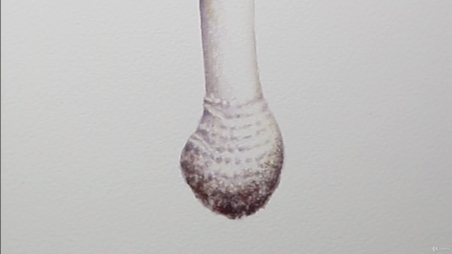 Paint Realistic Watercolor and Botanicals - TOADSTOOLS - Screenshot_04