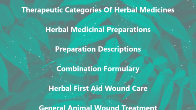 Certificate In Herbal First Aid & DIY Herbal First Aid Kit - Screenshot_02