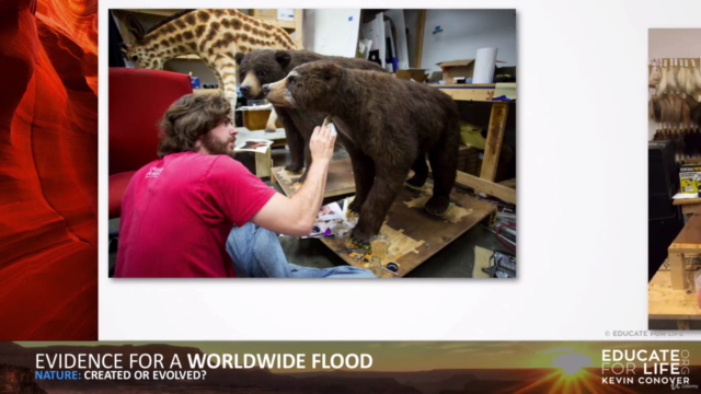 102: Evidence for a Worldwide Flood - Screenshot_03