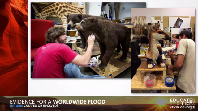 102: Evidence for a Worldwide Flood - Screenshot_04