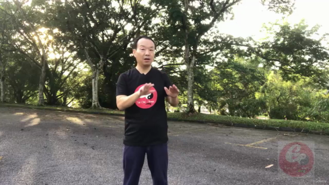 Authentic Fighting Tai Chi-Chen New Frame Routine (XinJia) 1 - Screenshot_02