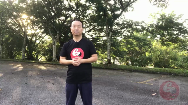 Authentic Fighting Tai Chi-Chen New Frame Routine (XinJia) 1 - Screenshot_03