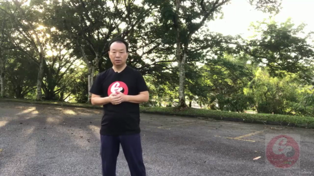 Authentic Fighting Tai Chi-Chen New Frame Routine (XinJia) 1 - Screenshot_04