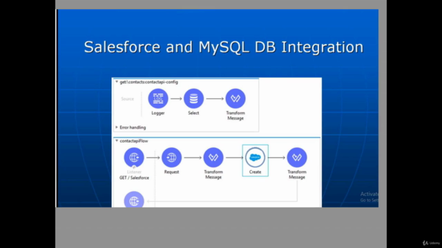 MuleSoft and Salesforce Integration Real Time Project - Screenshot_02