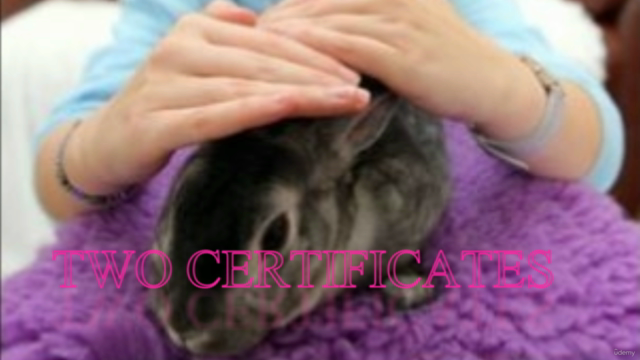 ANIMAL REIKI: Animal Reiki Practitioner Certification - Screenshot_03