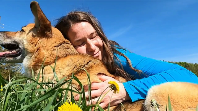 ANIMAL REIKI: Animal Reiki Practitioner Certification - Screenshot_04