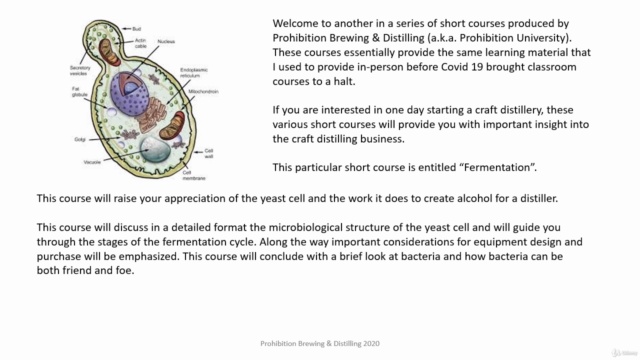 Craft Alcohol Fermentation - Screenshot_02