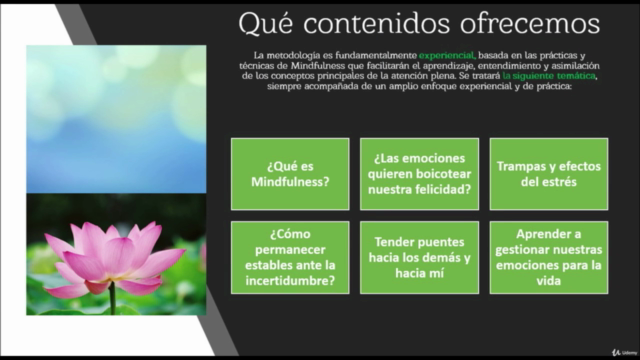 Mindfulness y Compasión - Screenshot_02