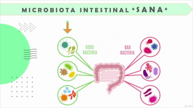 Microbiota Intestinal y Nutrición - Screenshot_01