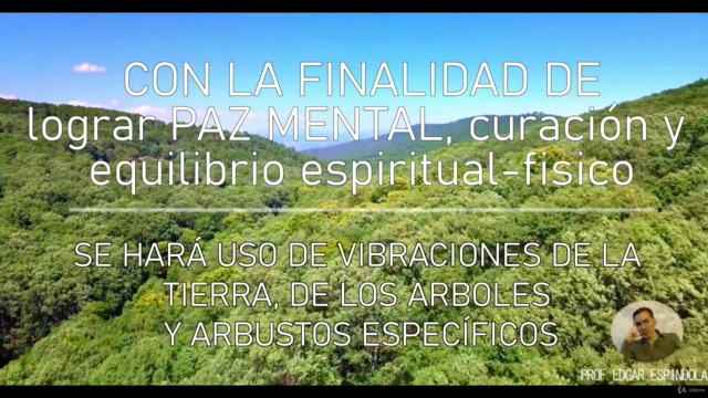 Curso de Reiki Celta / Celtic Reiki - Screenshot_02