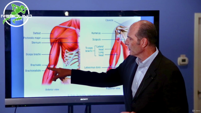 Rehabilitation of the Shoulder and Upper Extremity - Screenshot_02