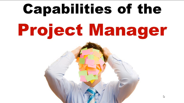 How to become a successful SAP Project Manager - Screenshot_02