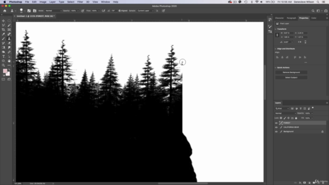 The Complete Logo Design Masterclass: Adobe Photoshop - Screenshot_02