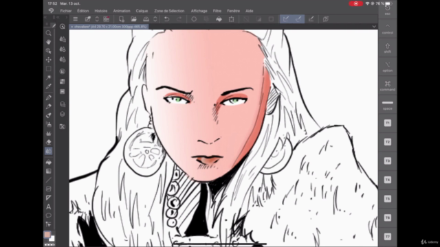 CLIP STUDIO PAINT sur IPAD - Screenshot_02