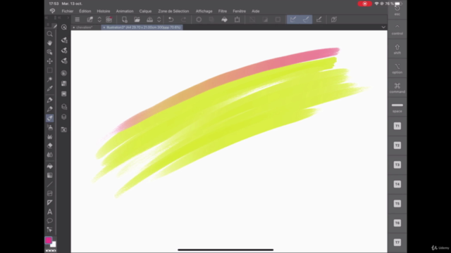 CLIP STUDIO PAINT sur IPAD - Screenshot_04