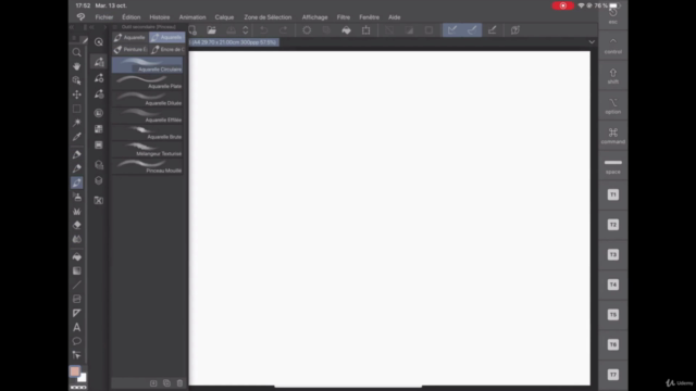 Dessin sur IPAD: Apprendre les meilleurs logiciels - Screenshot_03
