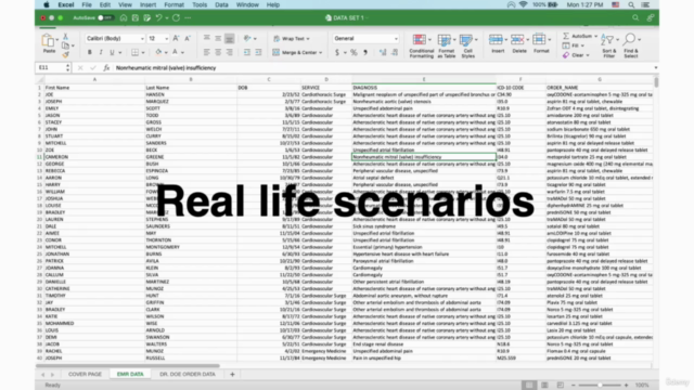 Excel Fundamentals for Healthcare - Screenshot_01