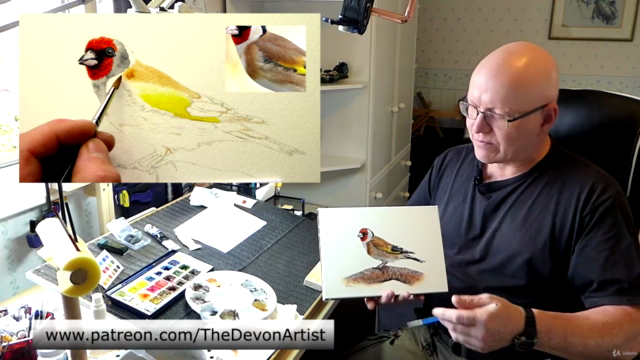 How To Paint in Watercolor a Realistic Bird | Goldfinch - Screenshot_02