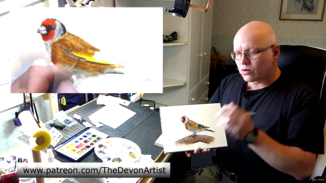 How To Paint in Watercolor a Realistic Bird | Goldfinch - Screenshot_03