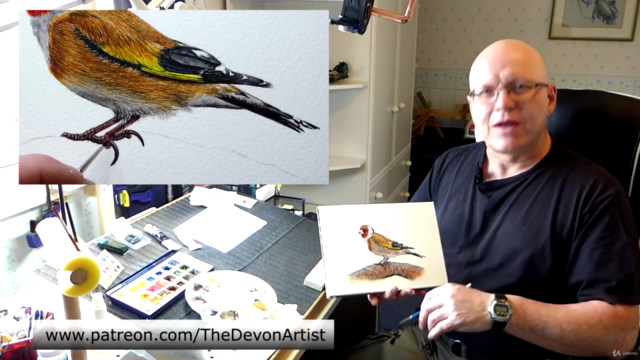 How To Paint in Watercolor a Realistic Bird | Goldfinch - Screenshot_04