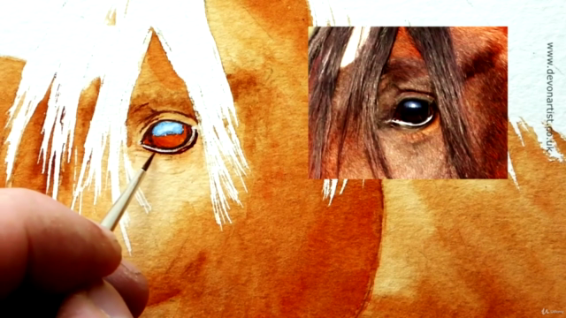 Watercolor Lesson, How To Paint a Horse's Head - Screenshot_01