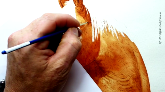 Watercolor Lesson, How To Paint a Horse's Head - Screenshot_02