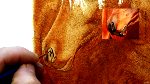 Watercolor Lesson, How To Paint a Horse's Head - Screenshot_03