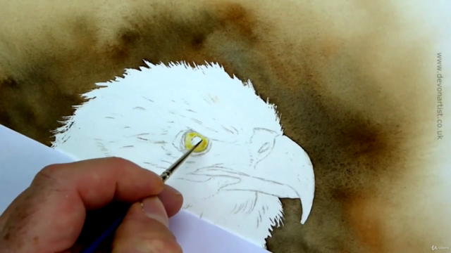 Watercolor Painting Class - Bald Eagle - Screenshot_01