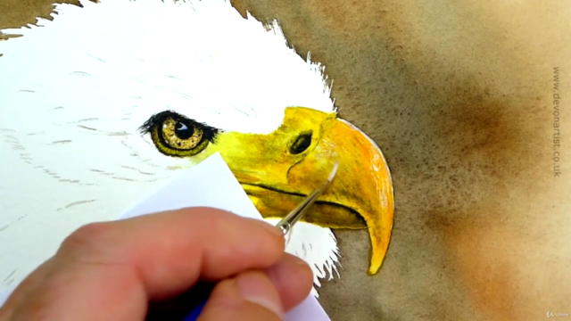 Watercolor Painting Class - Bald Eagle - Screenshot_02