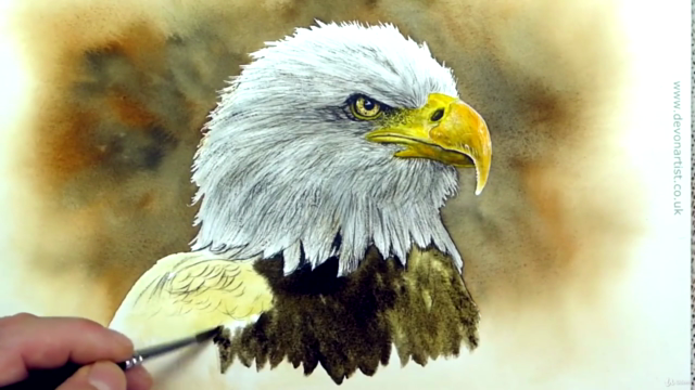 Watercolor Painting Class - Bald Eagle - Screenshot_03