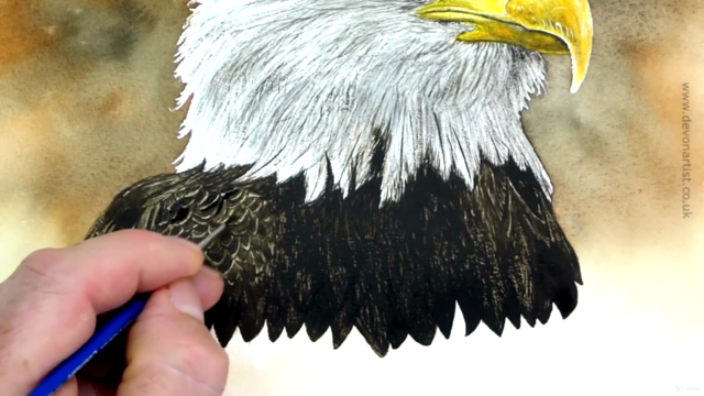 Watercolor Painting Class - Bald Eagle - Screenshot_04