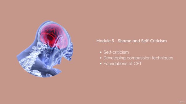 Compassionate Mind Coach Diploma (Fully Accredited) - Screenshot_03