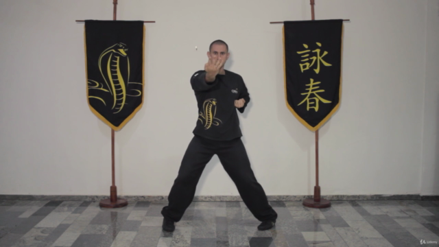 Wing Chun Kung Fu - Os Segredos Do Siu Lim Tao - Screenshot_01