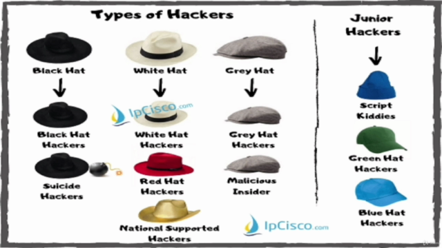 Android Nethunter ethical hacking course(no root) - Screenshot_03